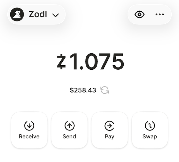 Screenshot of the Zodl home screen.